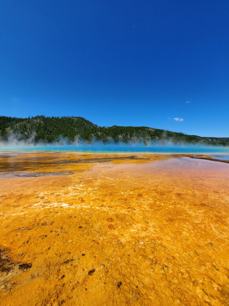 The Yellowstone National Park Entrances - Legacy Terra