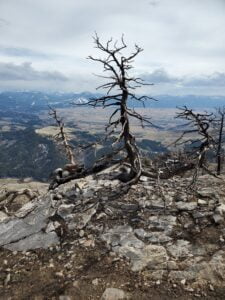 things to do in Bozeman Montana best convertible hiking pants